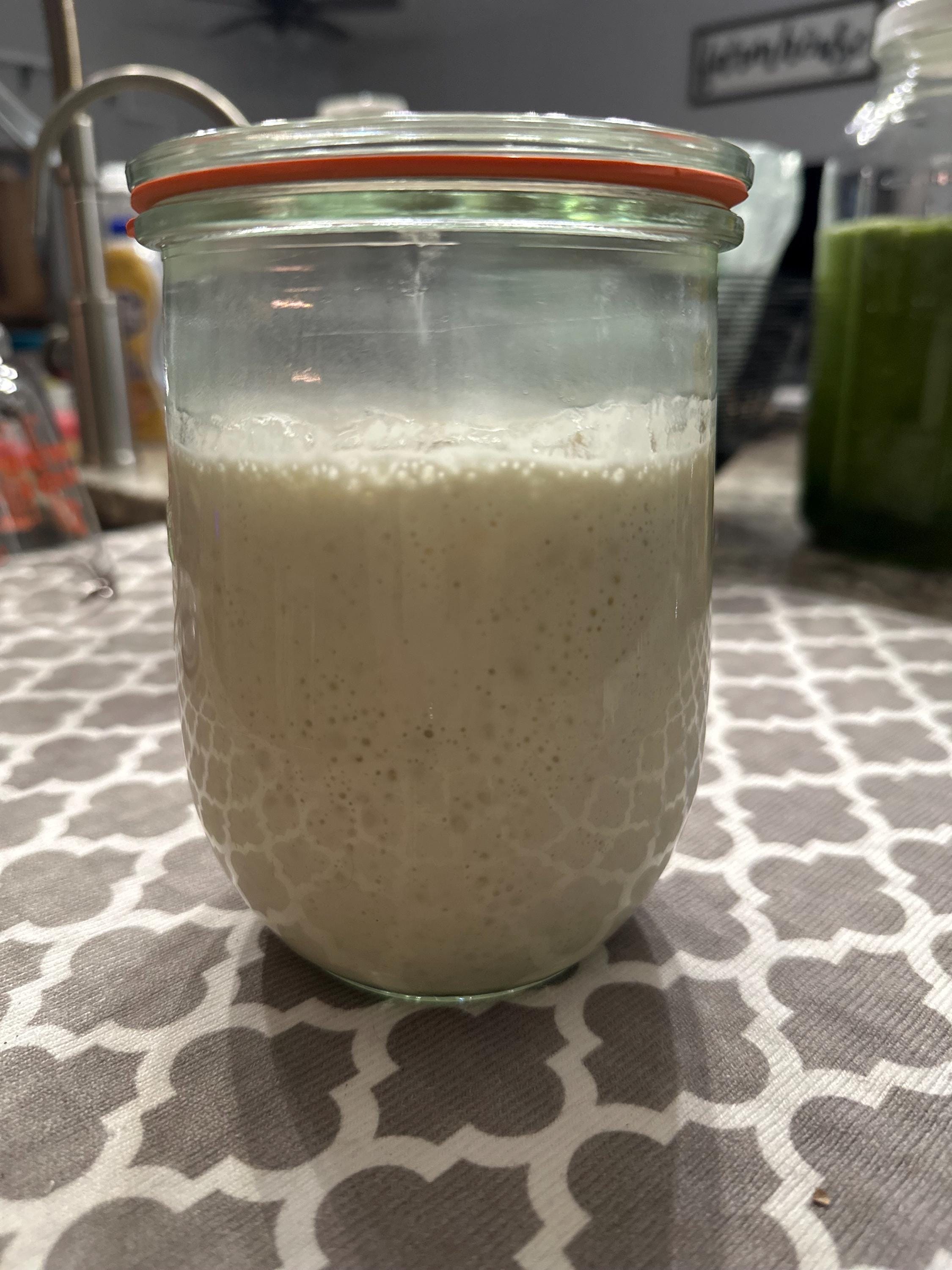 Dehydrated Sourdough Starter: "Buffy" with Rehydrating Instructions